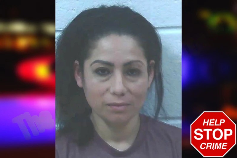 Maria Guevara Ramirez Mugshots