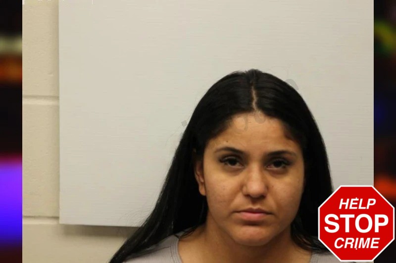 Maria Hernandez-Farjardo Mugshots