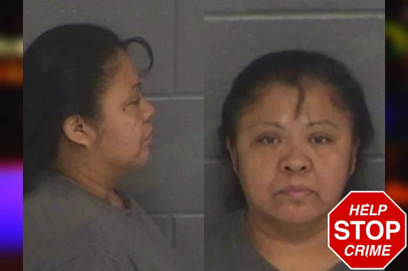 Maria Hernandez mugshot