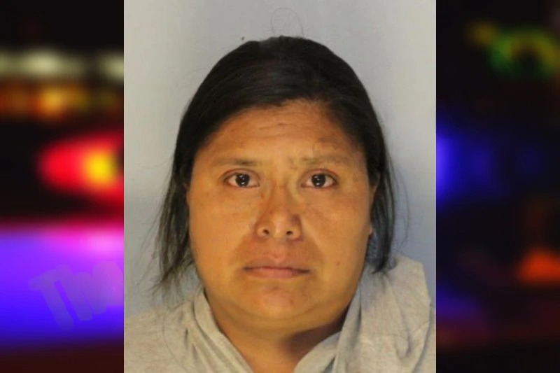 Maria Juarez Camacho Mugshots