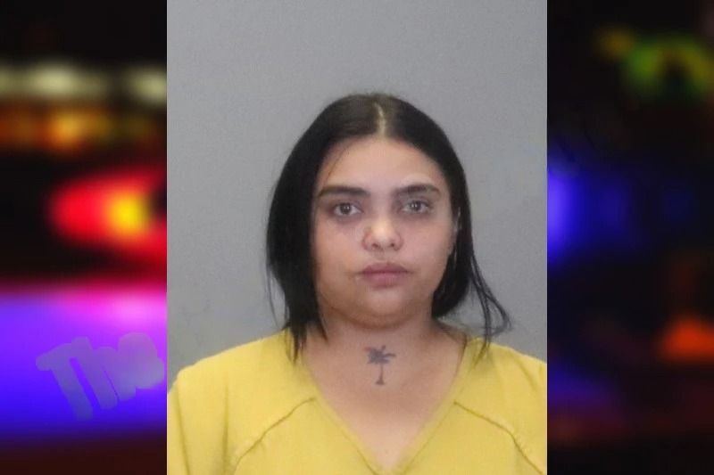 Maria Rodriguez-Eizaga Mugshots