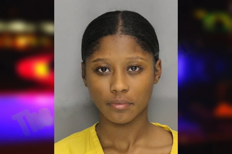 Mariam Kobi Mugshots