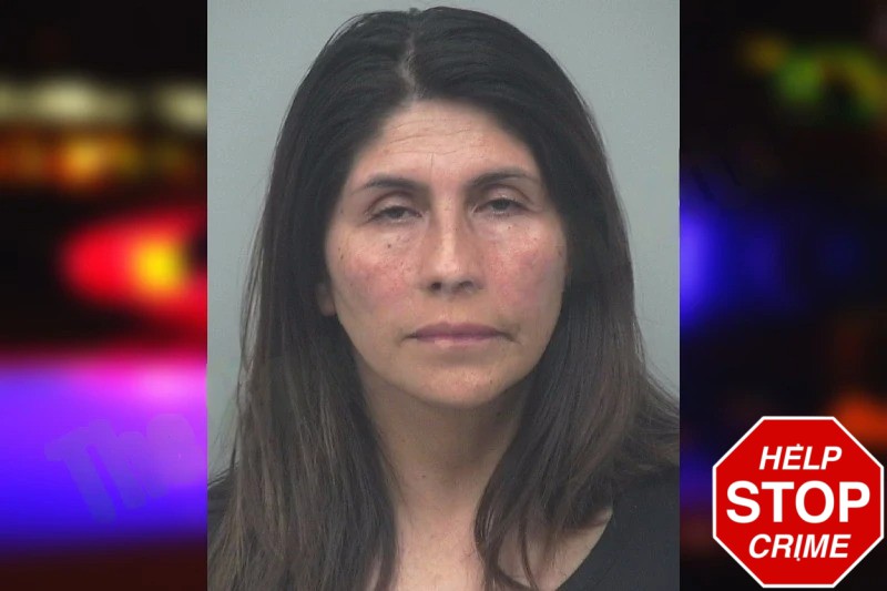 Mariela Caceres Rojas mugshot – Gwinnett County , Georgia Mariela Caceres Rojas mugshot