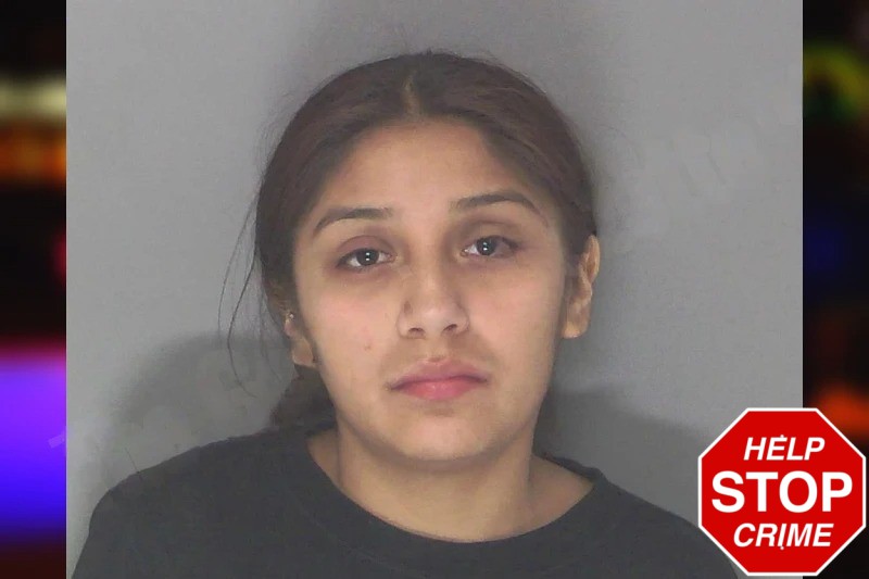 Mariela Guerrero Mugshots