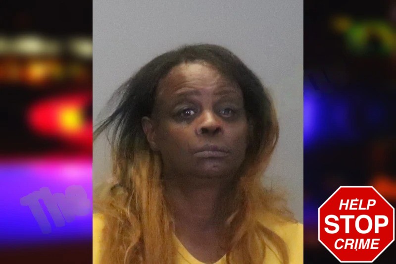 Marilyn Jones Mugshots