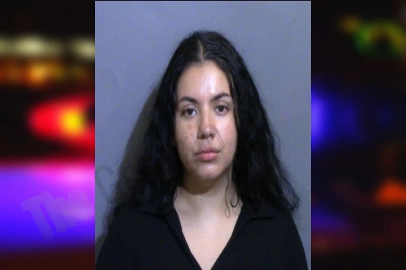 Marisol Arguello Mugshots