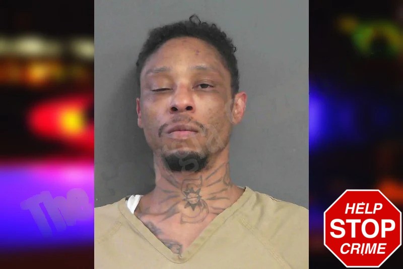 Mark Passley Mugshots