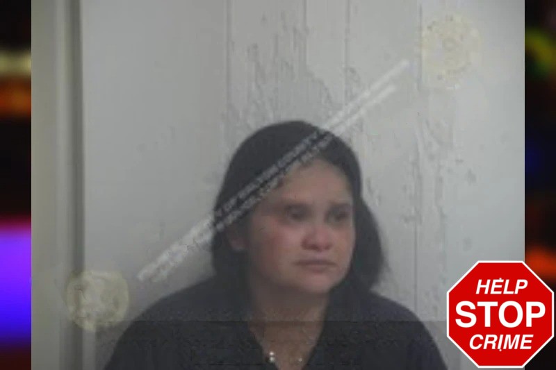 Marlen Villalba Mugshots