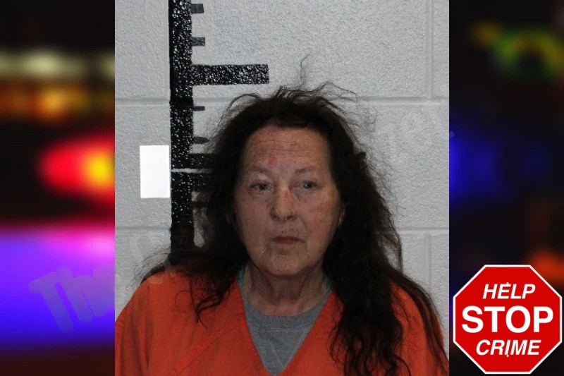 Marleta Davenport Mugshots