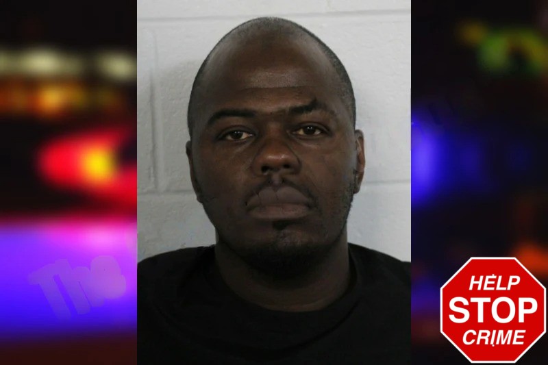 Marshain Hamilton Mugshots