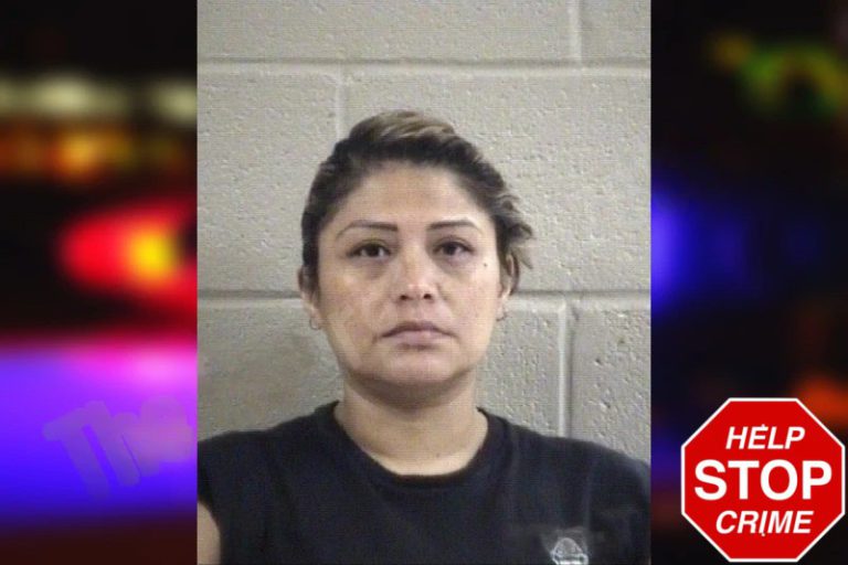 Martha Vera-Rojo mugshot – Whitfield County , Georgia Martha Vera-Rojo