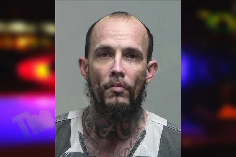 Martin Dollar Mugshots