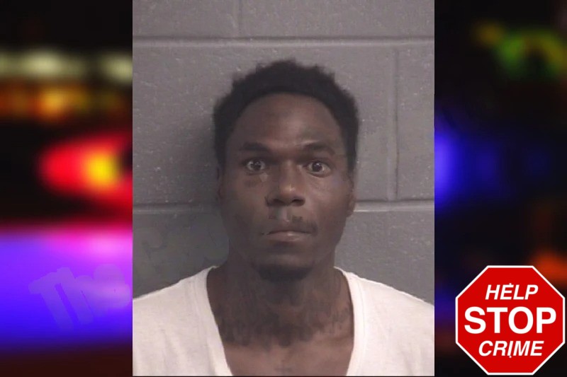 Marvelous King Mugshots