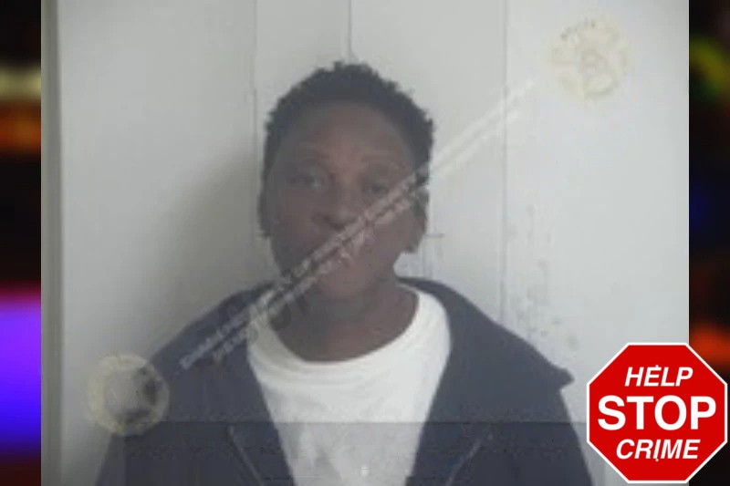 Mary Boakye Mugshots