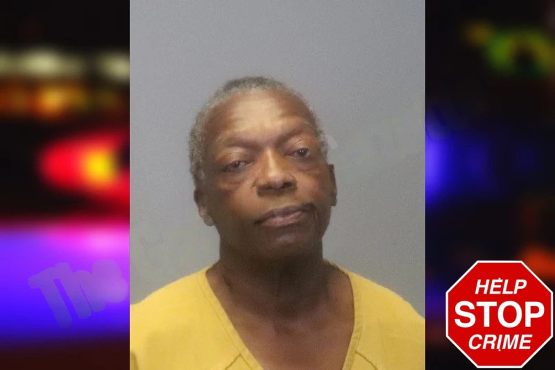 Mary Bowser Mugshots