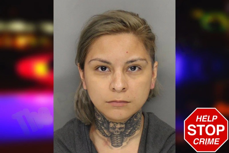 Marysol Morales Mugshots