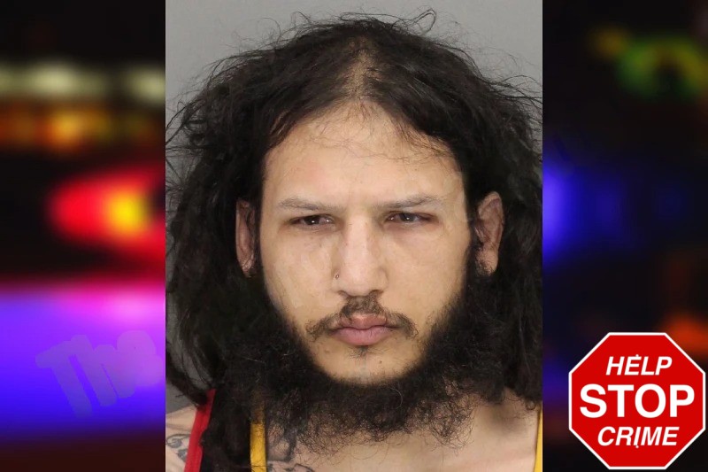 Matthew Cheikin mugshot