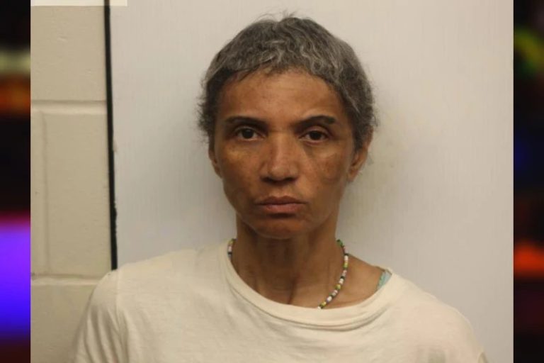 Maureen Vanellison mugshot – Chatham County , Georgia Maureen Vanellison