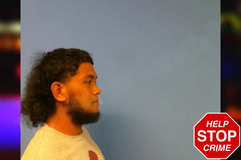 Mavy Melander Mugshots