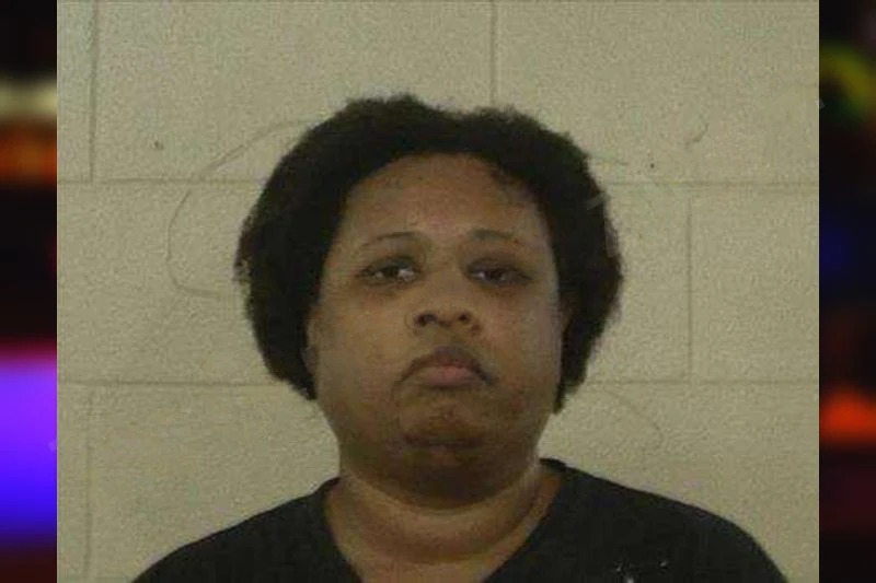 Maya Schaub Mugshots