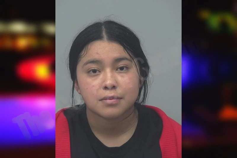 Mayli Lopez mugshot – Gwinnett County , Georgia Mayli Lopez mugshot