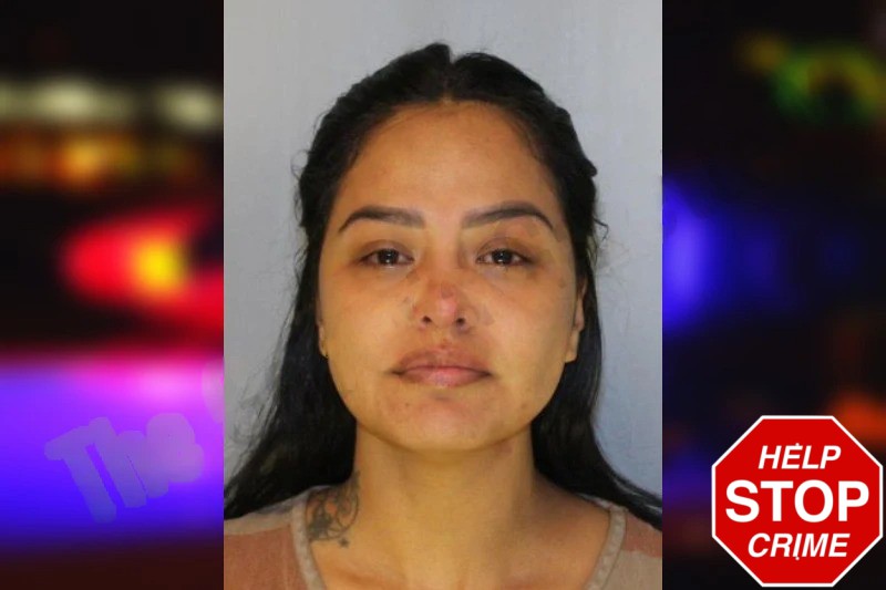 Mayra Maciel Mugshots