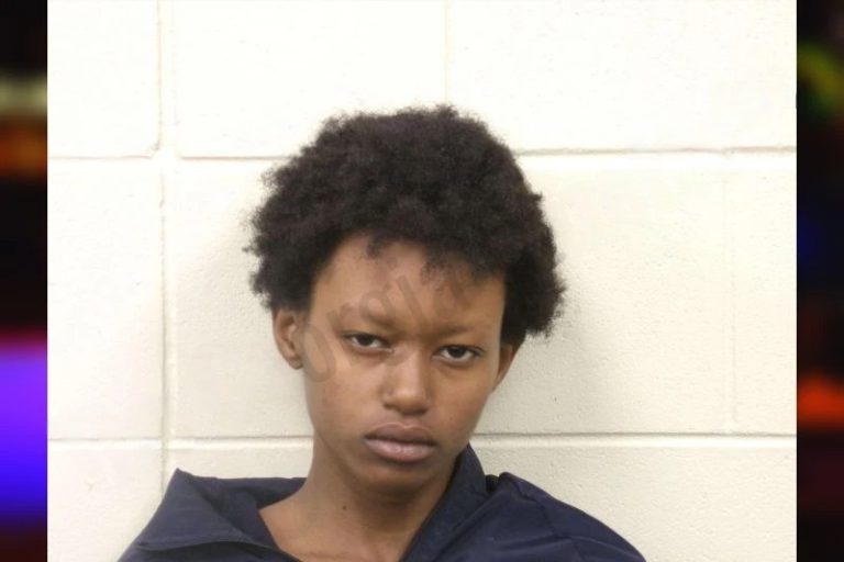 Mbaqangale Anderson mugshot – Bulloch County , Georgia Mbaqangale Anderson
