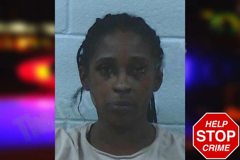 McKayla Dye Mugshots