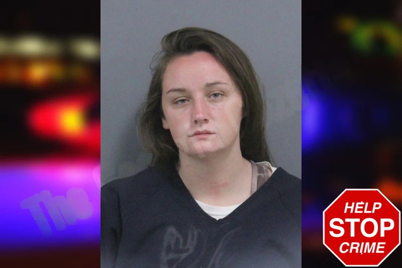 Meagan Long Mugshots