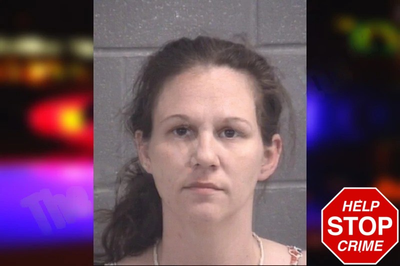 Megan Coursey Mugshots