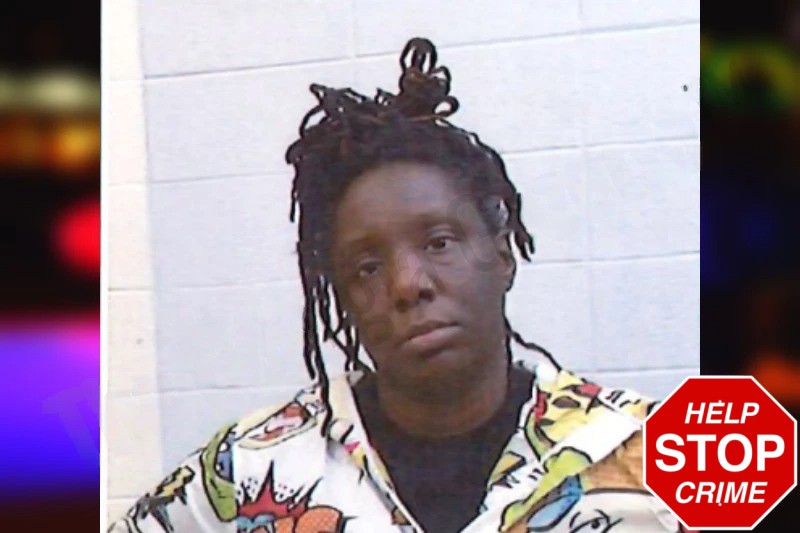 Megan Ellison Mugshots