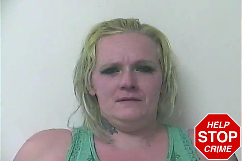 Megan Fowler Mugshots