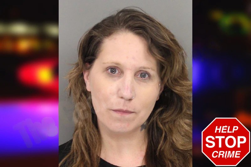 Megan Kennedy Mugshots