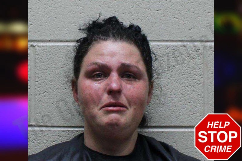 Megan Rogers Mugshots