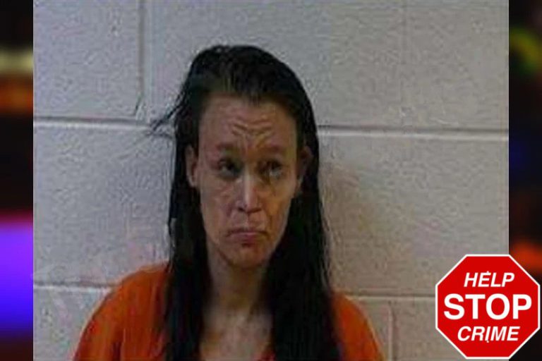 Megan Sneed mugshot – Polk County , Georgia Megan Sneed