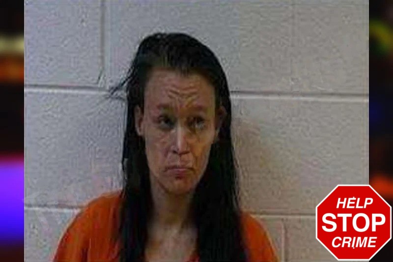Megan Sneed mugshot