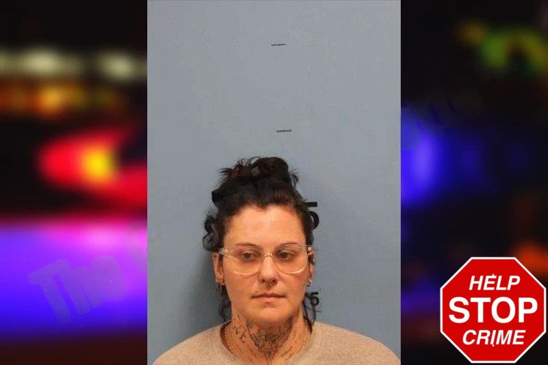 Megan Wallace Mugshots