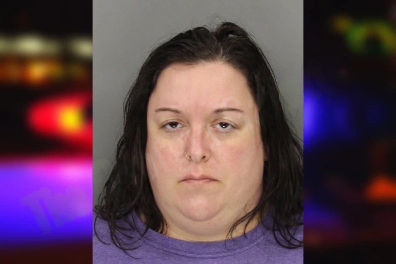 Meladee Shapira mugshot