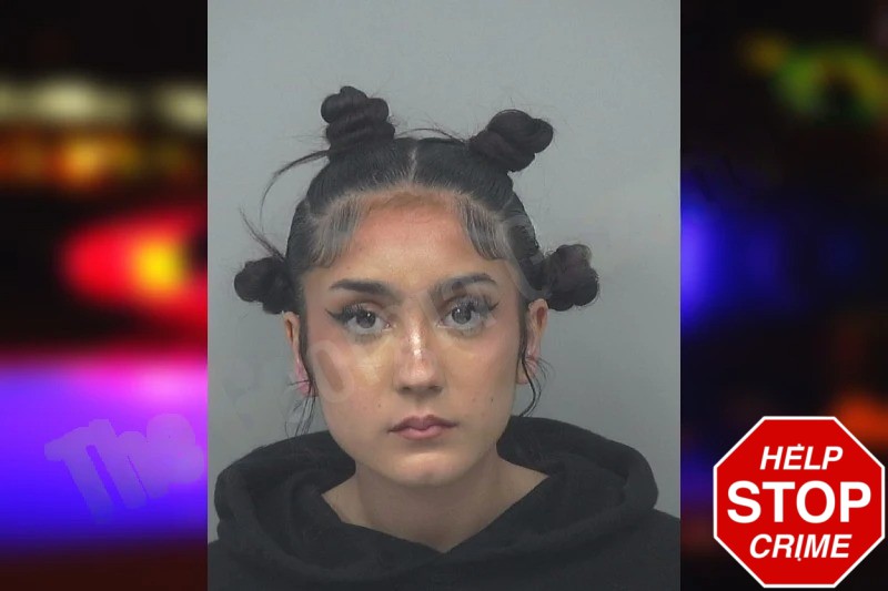 Melanie Barbera mugshot – Gwinnett County , Georgia Melanie Barbera mugshot