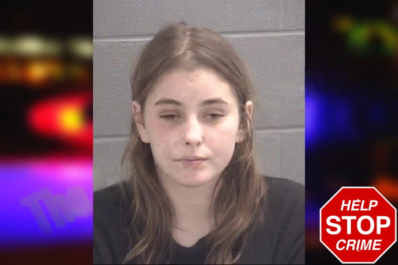 Melanie Hamby Mugshots