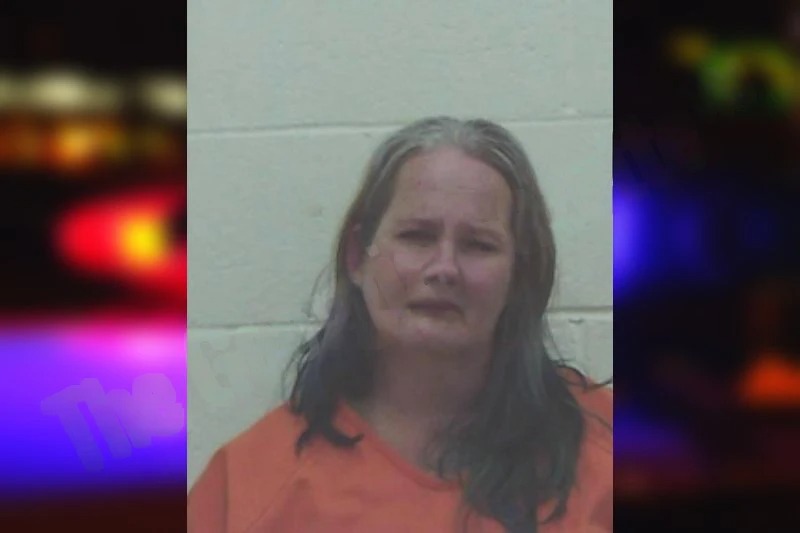 Melanie Nelson Mugshots