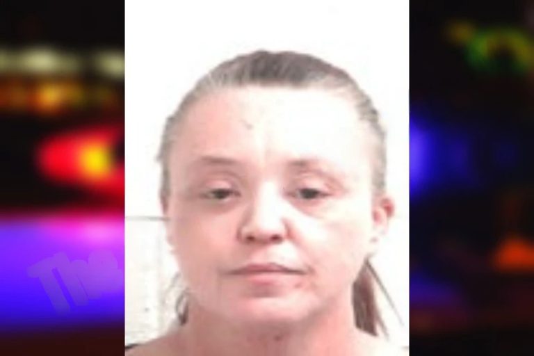 Melissa Bozeman mugshot – Henry County , Georgia Melissa Bozeman