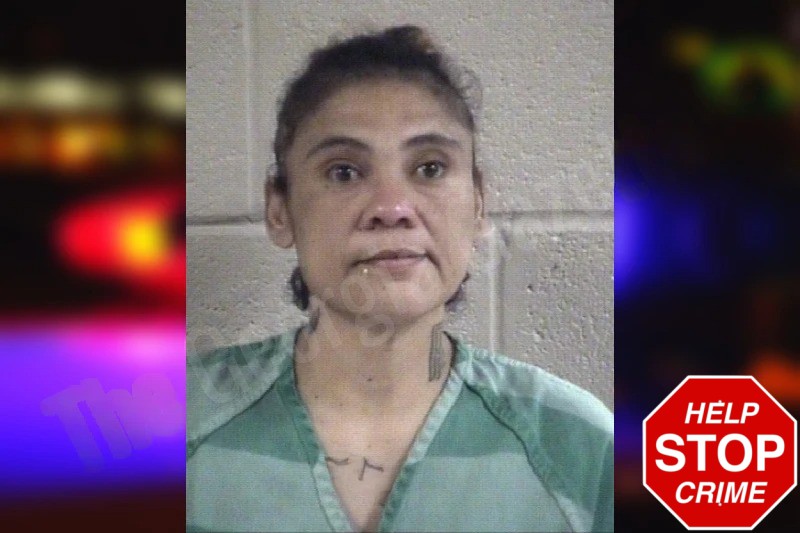 Melissa Dobie Mugshots