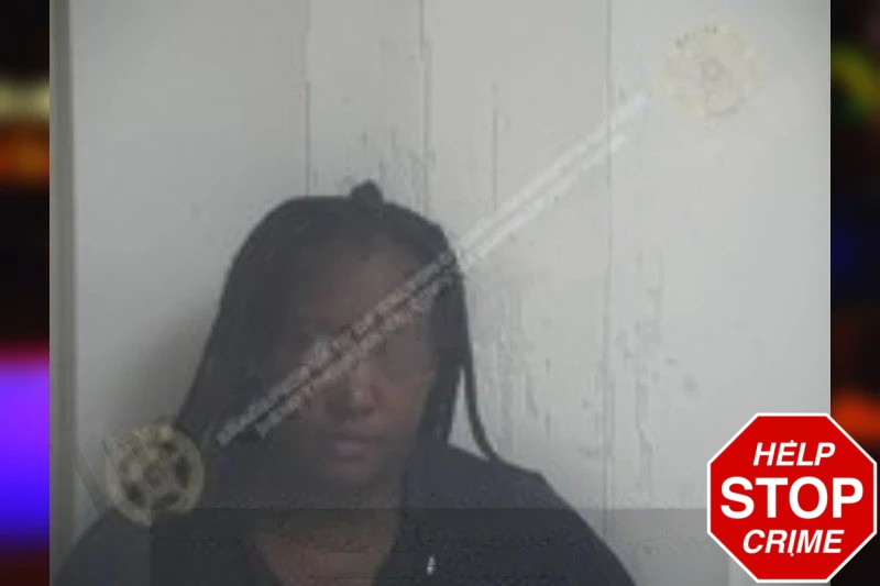 Melissa Gray Mugshots