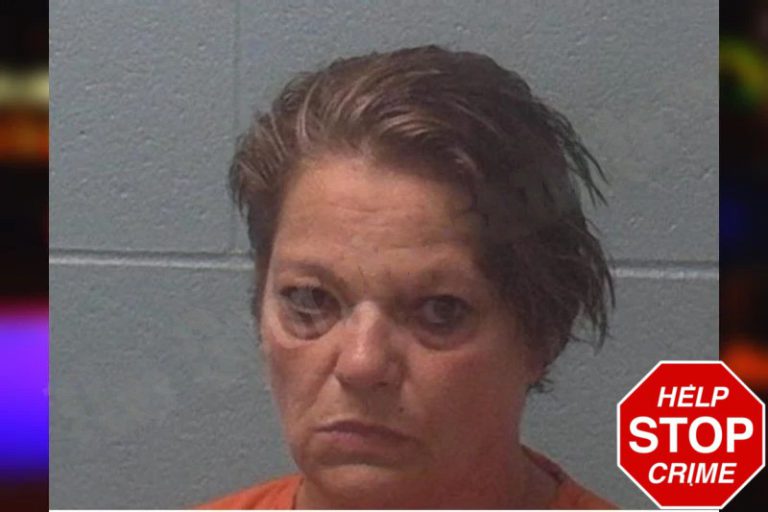 Melissa Hartsoe mugshot – Franklin County , Georgia Melissa Hartsoe