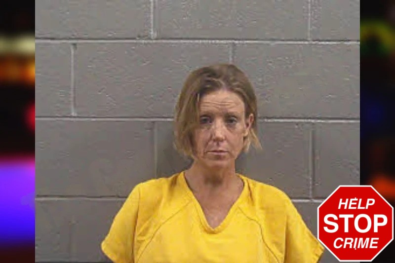 Melissa Hirschlein Mugshots