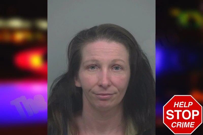 Melissa Lewin Mugshots