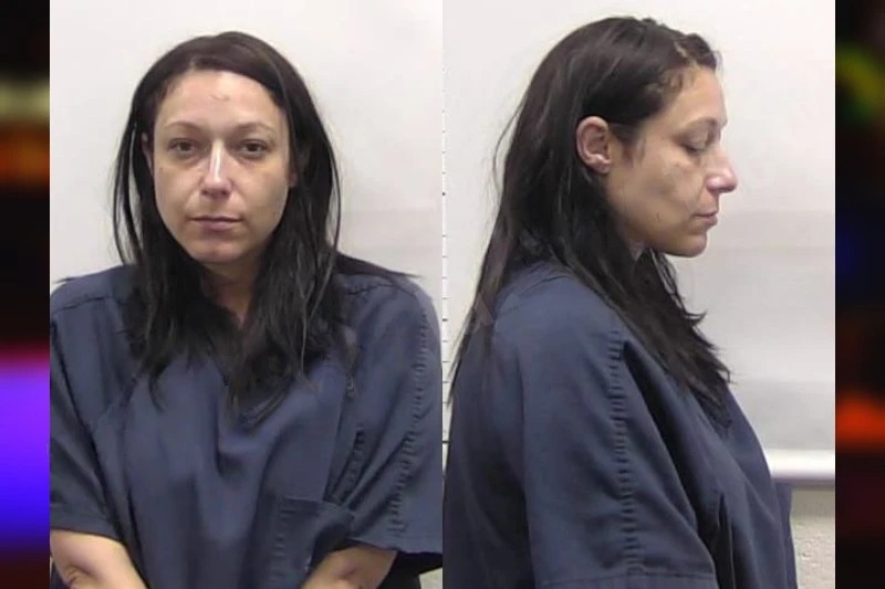 Melissa Miller Mugshots