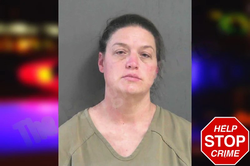 Melissa Mulkey mugshot – Gordon County , Georgia Melissa Mulkey mugshot