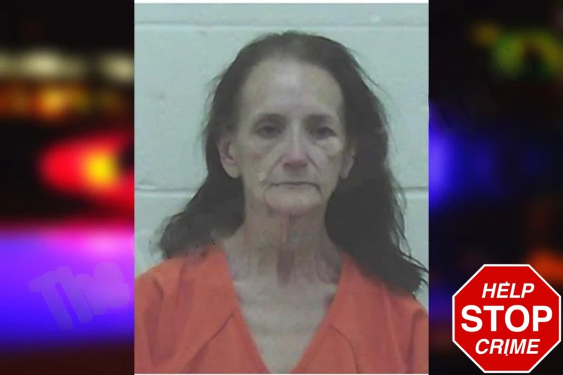 Melissa Mullins Mugshots